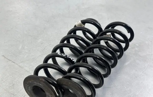 Rear coil spring