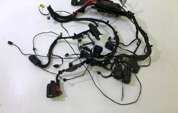 BMW X2 F39 Other wiring loom 8807536