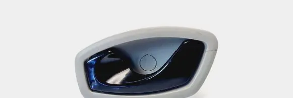 Renault Zoe Front door interior handle 806700006R