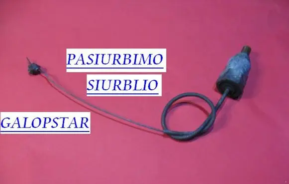 Citroen Xantia Idle control valve (regulator) GALOPSTAR