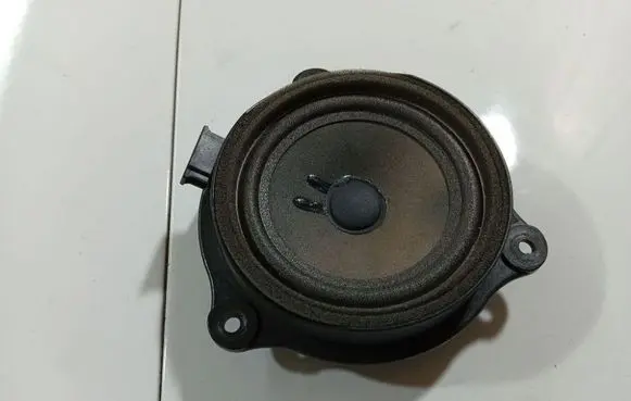 Front door speaker