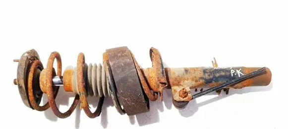 Citroen C2 Front shock absorber/damper 