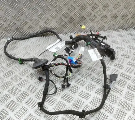 Volkswagen ID.4 Front door wiring loom TAB016130CT