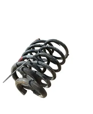 Rear coil spring