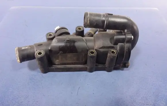 Thermostat/thermostat housing