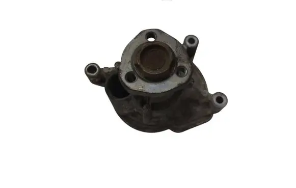 Volkswagen Golf Plus Water pump 03L121019