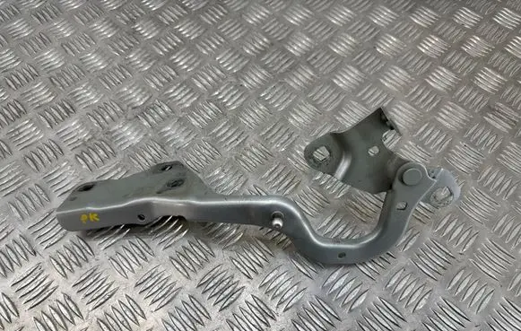 Renault Scenic IV - Grand scenic IV Engine bonnet/hood hinges 654010894R