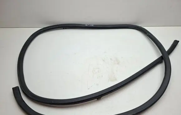 Lexus RX III Rubber seal rear door 