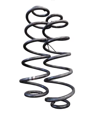 Rear coil spring
