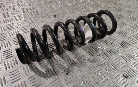 Rear coil spring