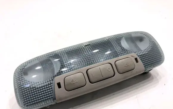 Ford Kuga I Headlining lighting console trim