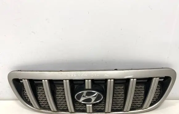 Hyundai Terracan Front grill 86251H1060