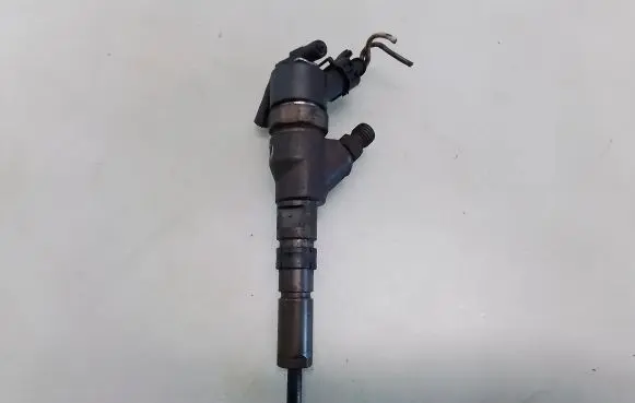 Peugeot 406 Fuel injector 0445110076