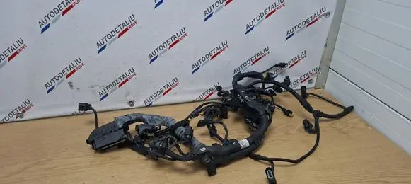 BMW X1 F48 F49 Engine installation wiring loom 8593228