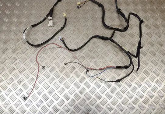 Other wiring loom