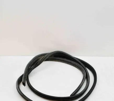 Renault Master III Rubber seal front door (on door) 