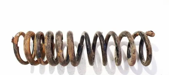 Ford Focus Rear coil spring 