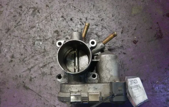 Throttle body valve