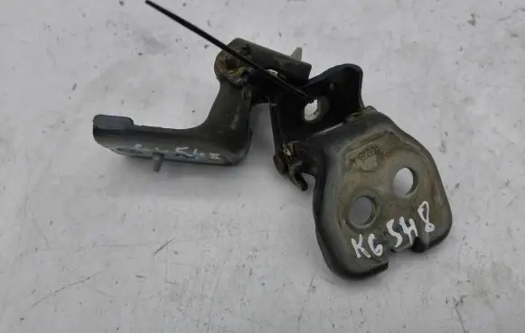 Peugeot 5008 Rear door hinge set 