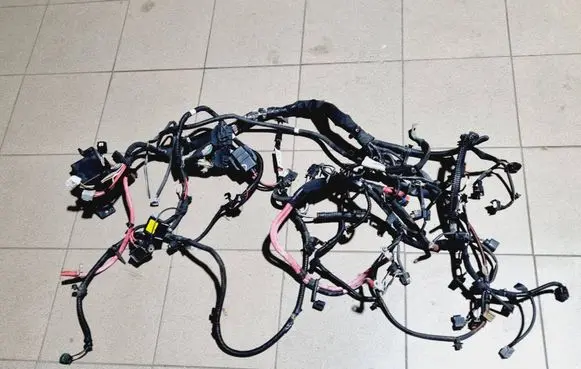 Renault Scenic III - Grand scenic III Other wiring loom 240803236R