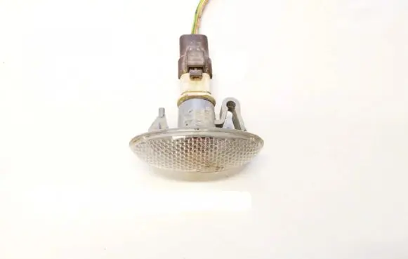 Front fender indicator light