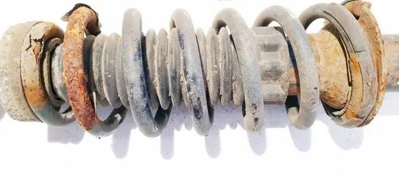 Rear coil spring