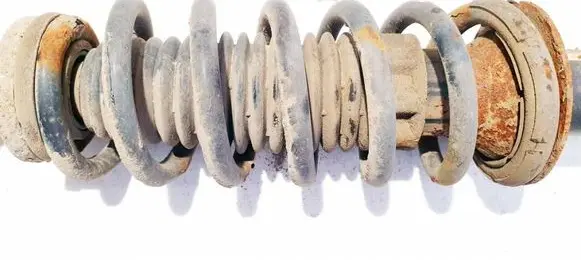 Rear coil spring