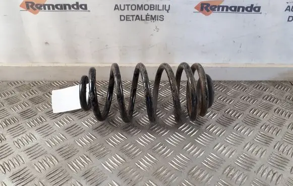 Rear coil spring