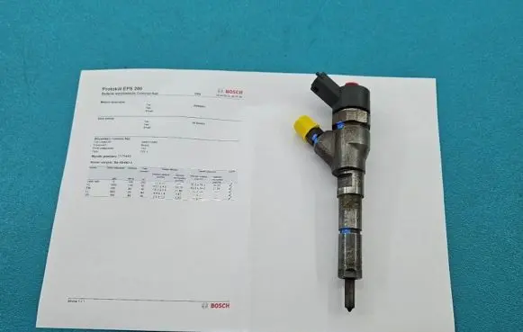 Citroen Xsara Picasso Fuel injector 0445110062 IMPRK1375449