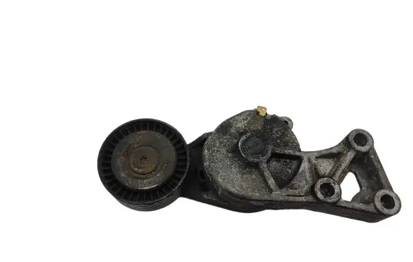 Seat Alhambra (Mk1) Generator/alternator belt tensioner 9503752