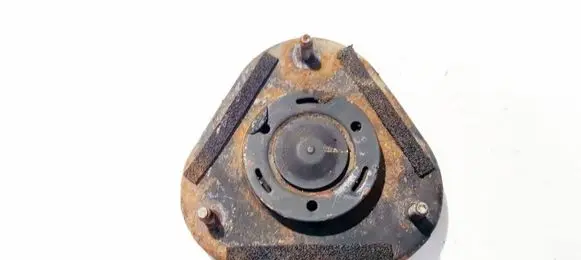 Coil spring mount