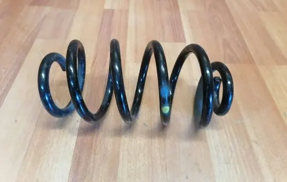 Renault Zoe Rear coil spring 550202131R