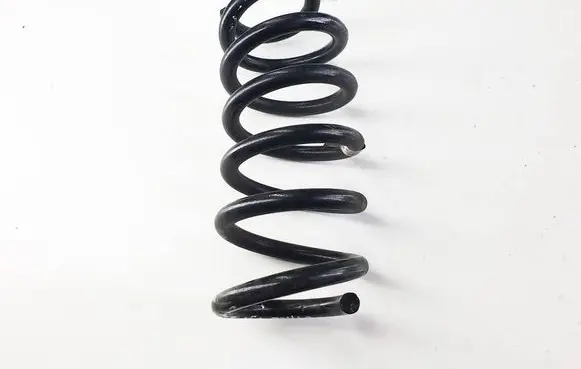 Rear coil spring