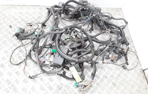 Peugeot 206 Engine installation wiring loom 9645040980 9640909880