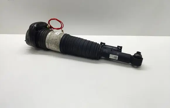 BMW 7 G11 G12 Shock absorber/damper/air suspension 13981113 F3086171 F308617101
