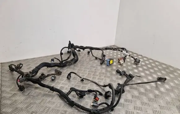 Engine installation wiring loom