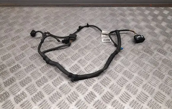 Porsche Cayenne (92A) Other wiring loom 7L5971073H 7L5971073