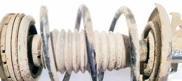Front coil spring
