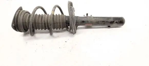 Nissan Qashqai J12 Front shock absorber/damper 543026UA1B