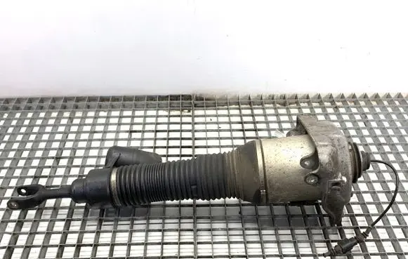 Volkswagen Phaeton Front shock absorber/damper 3D0616039AD