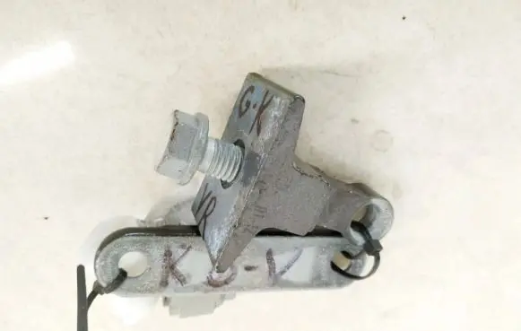 BMW 5 GT F07 Rear door lower hinge 7185633