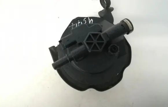 Peugeot 407 Fuel filter 9645928180