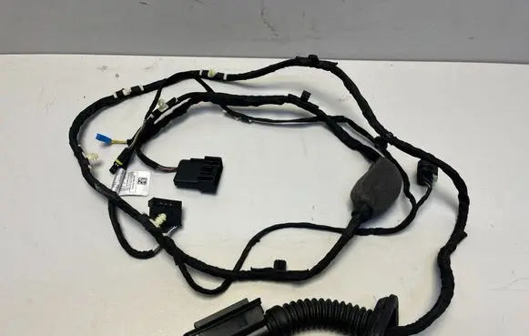 BMW X6 G06 Rear door wiring loom 5A8FF59