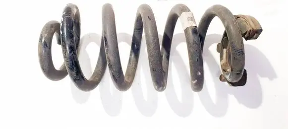 Rear coil spring