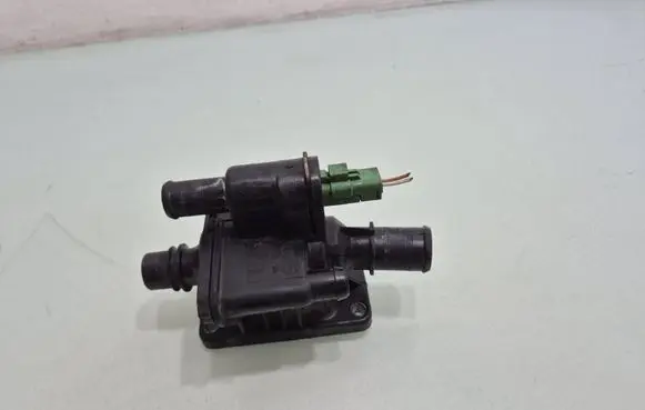 Ford Fiesta Thermostat/thermostat housing 9654393880