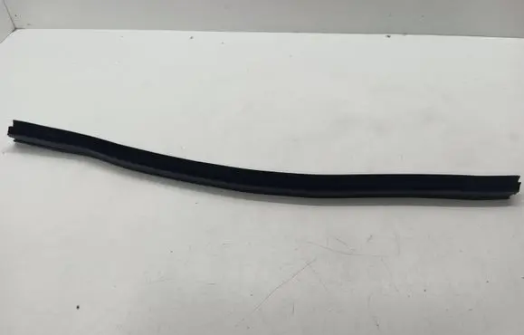 Nissan Qashqai Rubber seal front door (on door) 