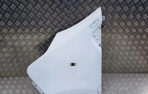 Renault Trafic III (X82) Fender