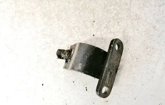Tailgate/trunk/boot hinge