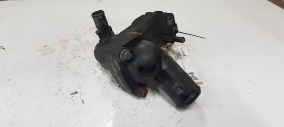 Thermostat/thermostat housing