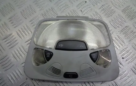 Mercedes-Benz C W203 Headlining lighting console trim A2038202301